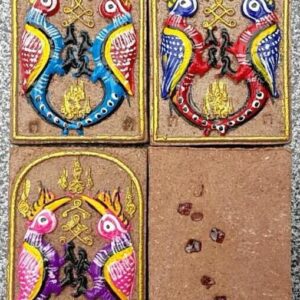 สาริกาคู่หางเกี้ยวเล็ก