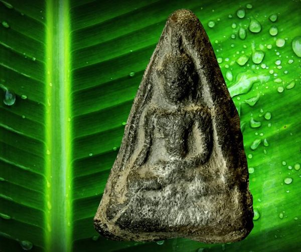 9C5A6569-FDF6-405E-8F5D-D6034BF011C1