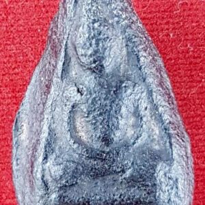 พิมพ์พระประธานหลวงพ่อภู วัดท่าฬ่อ พิจิตร