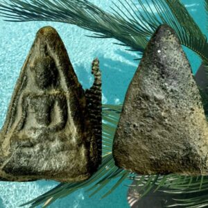 พระท่ามะปรางเนื้อดิน กำแพงเพชร