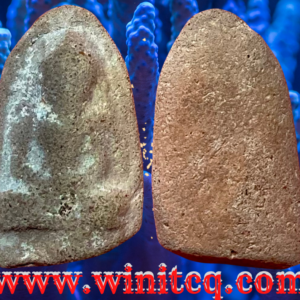 พระร่วงนั่งกรุวัดเจดีย์สี่ห้อง สุโขทัย