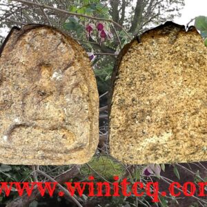 พระกรุวัดราชนัดดาพิมพ์ปรกโพธิ์กลีบบัวสดุ้งกลับ