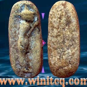 พระเนื้อผงพิมพ์ยืนวันทาเสมา ปี 2506 วัดประสาทบุญญาวาส กทม.