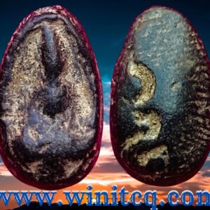 พระเม็ดน้อยหน่าหลังยันต์อุ กรุวัดศาลาปูน อยุธยา