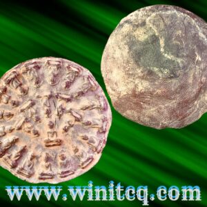 พระงบน้ำอ้อยพิมพ์ใหญ่กรุเตาทุเรียง สุโขทัย