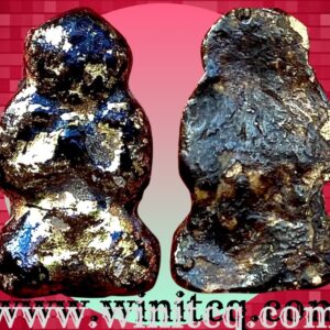 หนุมานอาสาพระปลัดทองดี วัดท่าเกวียน นนทบุรี