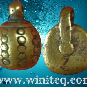 พญาเต่าเลือนหลวงพ่อเงินวัดบางคลาน พิจิตร