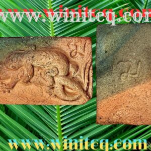 จิ้งจกหลวงพ่อครื้นวัดสังโฆ สุพรรณบุรี