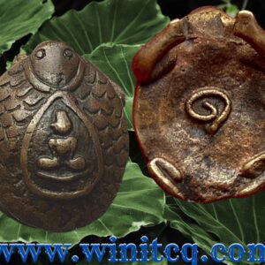 พญาเต่าเรือนเนื้อทองผสม หลวงพ่ออิ่ม วัดหัวเขา สุพรรณบุรี