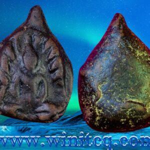 พระกำแพงซุ้มกอพิมพ์พัดโบกกรุวัดพิกุล กำแพงเพชร