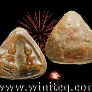 พระนางกำแพงพิมพ์ลูกแป้งคู่กรุวัดตาลดำ กำแพงเพชร