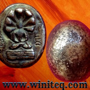 พระนาคปรกหล่อหลังเบี้ยหลวงปู่ใจวัดเสด็จ สมุทรสงคราม