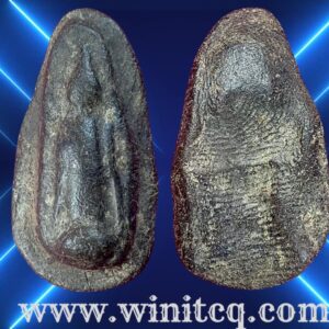 พระกำแพงเปิดโลกกรุวัดป่ามืด กำแพงเพชร